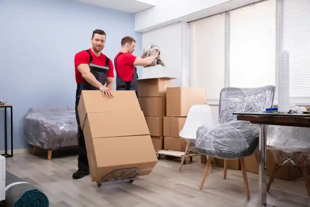 Sunrise Movers Company transporting household items across state lines with precision and care.